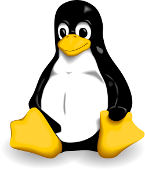 Репетитор по Linux, г. Владивосток. Программирование на bash, администрирование Ubuntu, Debian, FreeBSD.